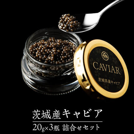 〈新品未使用〉キャビアアソートセット（3点セット） キャビア 詰め合わせ セット 20g×3 キャビア 高級食材 記念日 誕生日