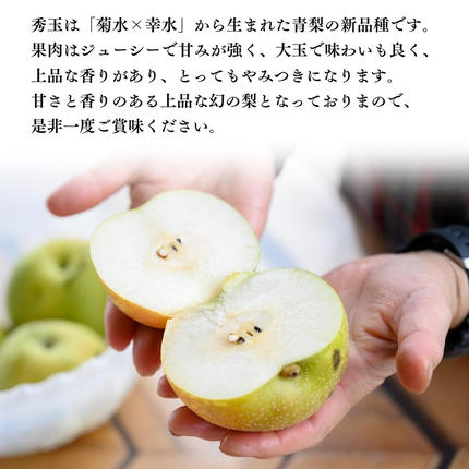 茨城県桜川市のふるさと納税 【2026年9月上旬発送開始】茨城県産 『幻の 梨 』 秀玉 約 3kg 6玉 ～ 9玉 【茨城県共通返礼品／常陸太田市】桧山果樹園 農家直送 桧山果樹園 農家直送 フルーツ  甘い 直送 茨城 限定 ギフト 梨 秀玉 しゅうぎょく 果物 [DU005sa]