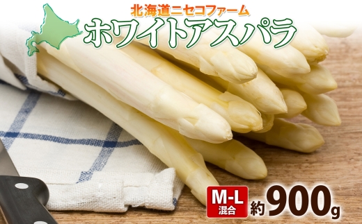 2026年 発送 】 北海道産 アスパラガス ホワイト 約 900g L - 2L