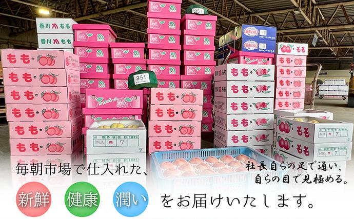 香川県綾川町のふるさと納税 【12ヶ月連続定期便】綾川町の春夏秋冬！旬果実の単品定期便