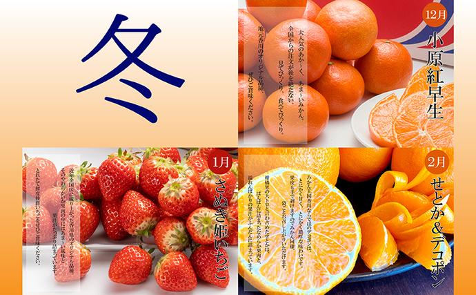 香川県綾川町のふるさと納税 【全6回】綾川町のいいとこどり定期便（7・8・9・12・1・2月発送）