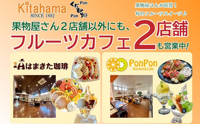 香川県綾川町のふるさと納税 【2ヶ月連続定期便】旬を見極めた、厳選フルーツ詰合せ-スタンダードセット-
