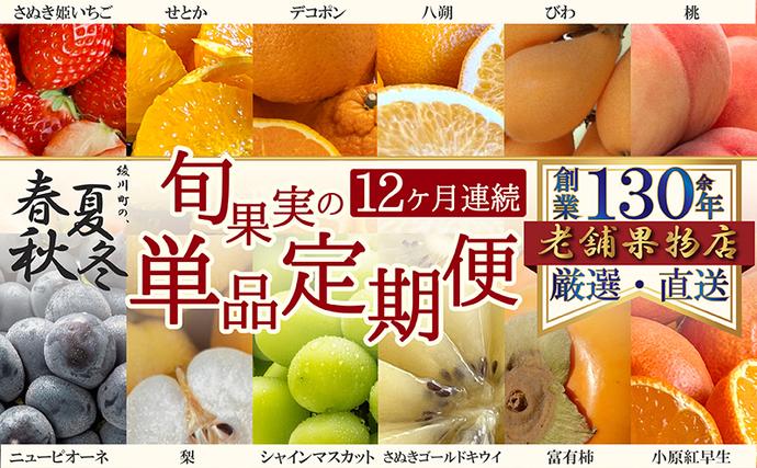 【12ヶ月連続定期便】綾川町の春夏秋冬！旬