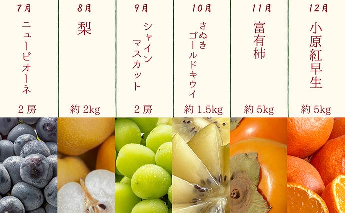 香川県綾川町のふるさと納税 【12ヶ月連続定期便】綾川町の春夏秋冬！旬果実の単品定期便