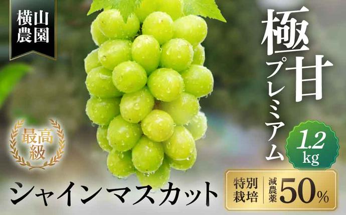 【2026年/令和8年発送＜先行予約＞】減
