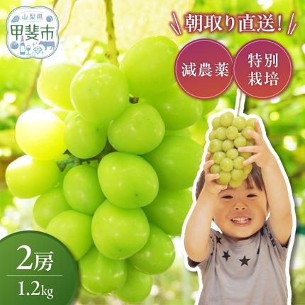 【2026年/令和8年発送＜先行予約＞】減