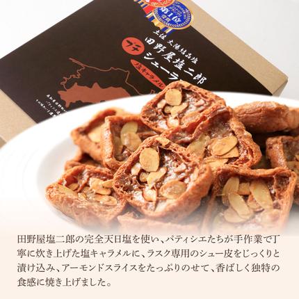 高知県田野町のふるさと納税 ★田野屋塩二郎完全天日塩★ プチシューラスク 20枚入り×1箱 田野屋塩二郎 天日塩 お菓子 洋菓子 焼き菓子 スイーツ シューラスク アーモンド 香ばしい 濃厚 お取り寄せ ギフト