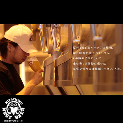 茨城県桜川市のふるさと納税 【 お中元 熨斗 付き 】 ハニーヴァイツェン 入り 飲み比べ 3種 8本 セット C 常陸野ネストビール ビール クラフトビール ネストビール 木内酒造 飲み比べ はちみつ 夏ギフト [CJ019sa]