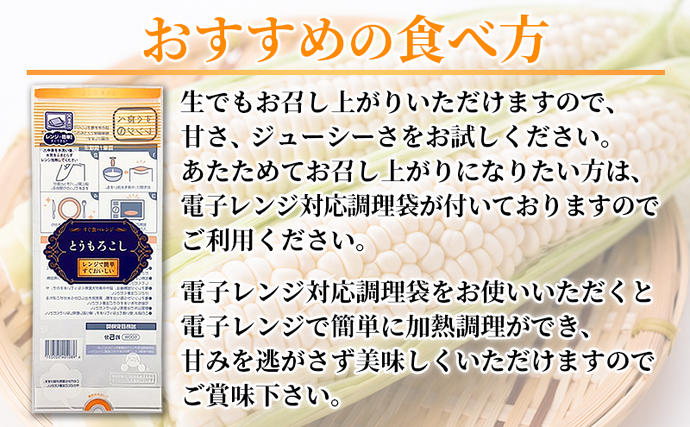 北海道富良野市のふるさと納税 【先行受付  2026年発送】ふらのホワイトコーン 計 4.2kg 以上 (12～14本入) 白 とうもろこし ホワイトクリスピー 野菜 北海道 富良野 ふらの ギフト 長沢農園