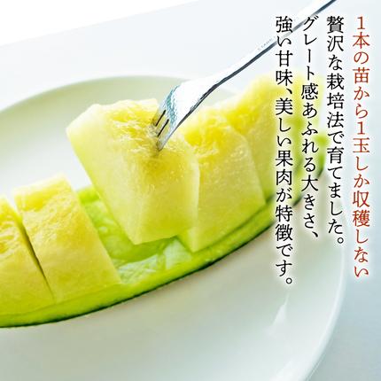 茨城県筑西市のふるさと納税 完熟 特大 アールスメロン １玉 2026年産 先行予約 メロン マスクメロン 青肉 果物 フルーツ 茨城県産 期間限定 数量限定 [AF087ci]