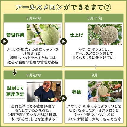 茨城県筑西市のふるさと納税 完熟 特大 アールスメロン １玉 2026年産 先行予約 メロン マスクメロン 青肉 果物 フルーツ 茨城県産 期間限定 数量限定 [AF087ci]
