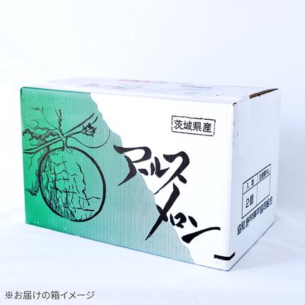 茨城県筑西市のふるさと納税 完熟 特大 アールスメロン １玉 2026年産 先行予約 メロン マスクメロン 青肉 果物 フルーツ 茨城県産 期間限定 数量限定 [AF087ci]