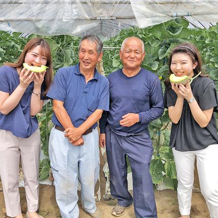 茨城県筑西市のふるさと納税 完熟 特大 アールスメロン １玉 2026年産 先行予約 メロン マスクメロン 青肉 果物 フルーツ 茨城県産 期間限定 数量限定 [AF087ci]