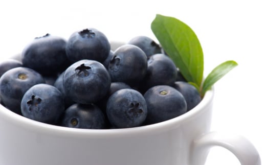 茨城県坂東市のふるさと納税 No.720 茨城県坂東市産 冷凍ブルーベリー 約500g【先行予約】 ／ 朝摘み 爽やか 甘み トッピング 冷凍 茨城県