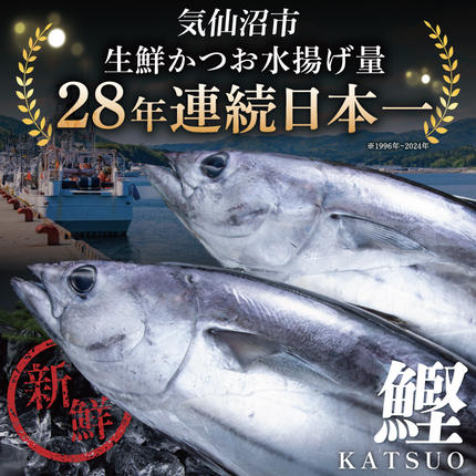 宮城県気仙沼市のふるさと納税 訳あり 気仙沼港水揚 かつお タタキ 600g [阿部長商店 宮城県 気仙沼市 20564307] 魚介類 魚介 海鮮 魚 さかな 真空パック 鰹 カツオ 鰹たたき たたき 冷凍 規格外 不揃い 訳アリ わけあり