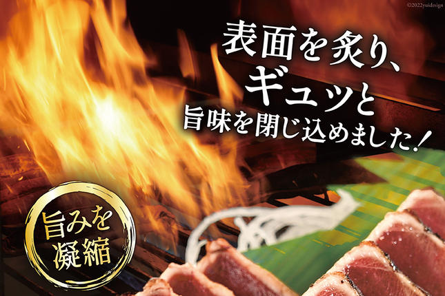 宮城県気仙沼市のふるさと納税 訳あり 気仙沼港水揚 かつお タタキ 600g [阿部長商店 宮城県 気仙沼市 20564307] 魚介類 魚介 海鮮 魚 さかな 真空パック 鰹 カツオ 鰹たたき たたき 冷凍 規格外 不揃い 訳アリ わけあり