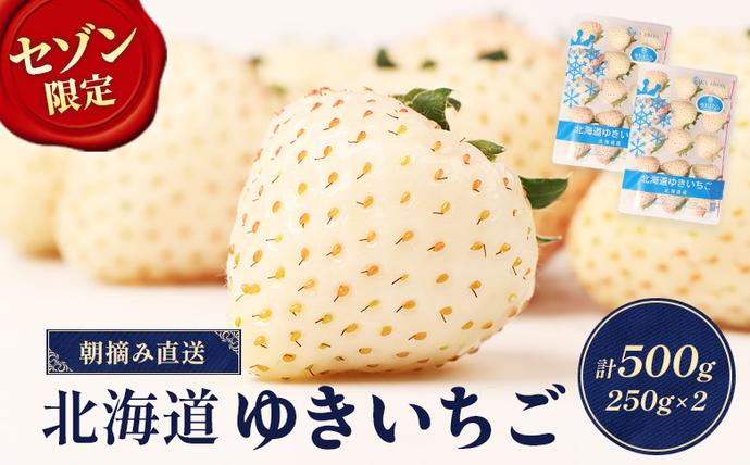 【セゾン限定】【2026年3月中旬～6月出