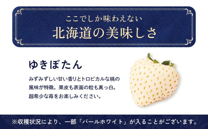 北海道中標津町のふるさと納税 【セゾン限定】【2027年１月以降発送！】【北海道産】ゆきいちご（白いちご） 2Pセット 250g×2 計500g【59004】