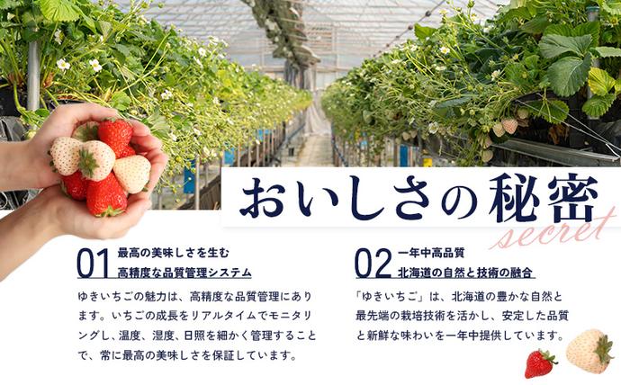 北海道中標津町のふるさと納税 【セゾン限定】【2027年１月以降発送！】【北海道産】ゆきいちご（白いちご） 2Pセット 250g×2 計500g【59004】