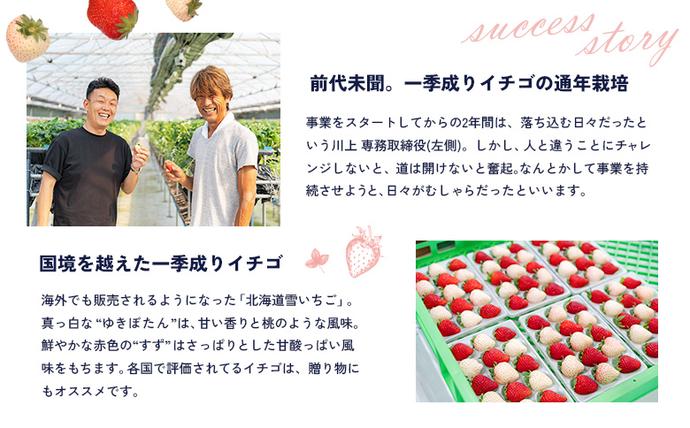 北海道中標津町のふるさと納税 【セゾン限定】【受注後、随時発送！】【北海道産】ゆきいちご（白いちご） 2Pセット 250g×2 計500g【59004】