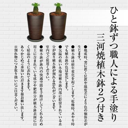 三河焼植木鉢ハーモニーブラウン【テラチップいぶし】プランター お