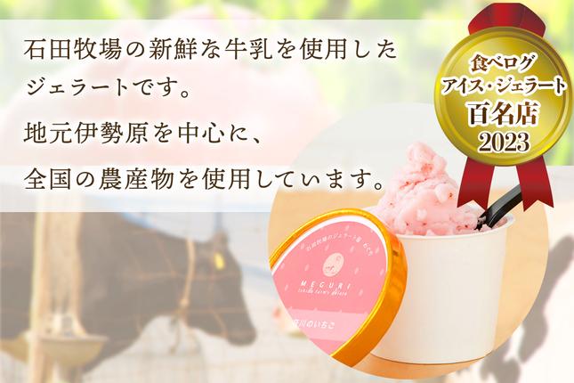 神奈川県伊勢原市のふるさと納税 石田牧場のジェラート屋めぐり おまかせ ジェラート12個セット｜石田牧場 ジェラート 伊勢原 贅沢素材 アイス アイスクリーム スイーツ ギフト 詰め合わせ 贈り物 プレゼント 人気 お取り寄せ [0253]