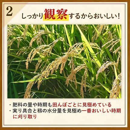 佐賀県神埼市のふるさと納税 【令和7年産】さがびより 精米 5kg【特A受賞米 米 5kg お米 コメ こめ 国産 美味しい ブランド米 人気 ランキング 増田米穀】(H015211)
