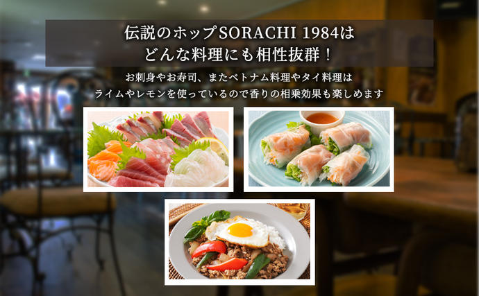 北海道上富良野町のふるさと納税 ビール SORACHI1984 350ml × 24缶 上富良野町発祥！ 伝説のホップ ソラチエース ソラチ sorachi ソラチ1984 サッポロビール サッポロ 地ビール お酒 酒 アルコール  (有)リカーショップかまだ 北海道 上富良野町