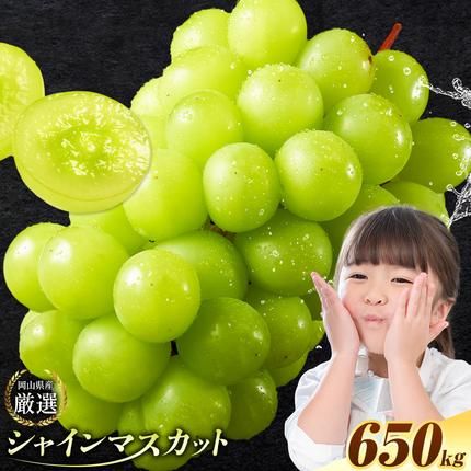 【2026年先行予約】厳選 シャインマスカ