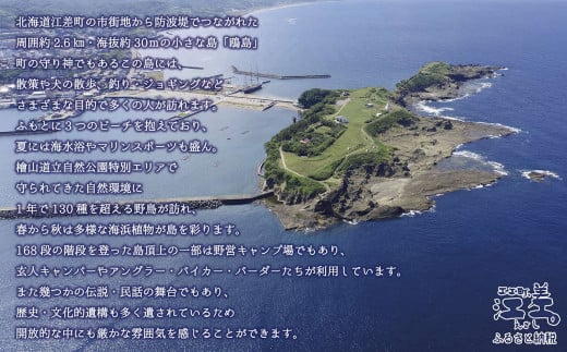 北海道江差町のふるさと納税 《かもめ島マリンピング2025》オフキャン！利用券［2名分］　オフシーズンキャンプ　テント設置済　ストーブ　寒冷地用シュラフ　機材一式レンタル　利用人数追加可能　炭起こしサポート　海鮮BBQディナー　アクティビティ　マリンスポーツ　SUP　シュノーケリング　海水浴　釣り　檜山道立自然公園特別エリア