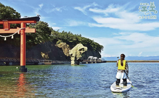 北海道江差町のふるさと納税 《かもめ島マリンピング2025》SUP体験［2名 基本コース60分］　サップ（パドルアウト）　ボード・パドル・ライフジャケットレンタル　町民インストラクターがサポート　アクティビティ　マリンスポーツ　海洋体験　檜山道立自然公園特別エリア