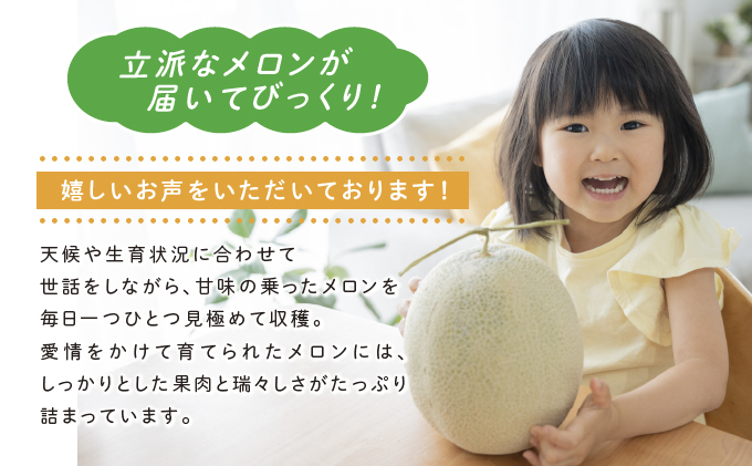 北海道富良野市のふるさと納税 【2026年6月発送】ふらの 赤肉メロン 2玉入 計4kg前後 (相馬農園) メロン フルーツ 果物