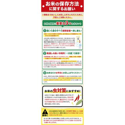 熊本県御船町のふるさと納税 無洗米 訳あり 家庭用 熊本ふるさと 無洗 米 選べる内容量 5kg 10kg 20kg 無洗米 米 コメ 熊本県産《1-5日以内に出荷予定(土日祝除く)》 洗わず コロナ おうちご飯 お米 おこめ 送料無料 熊本 御船 ライス SDGs ふるさと無洗米