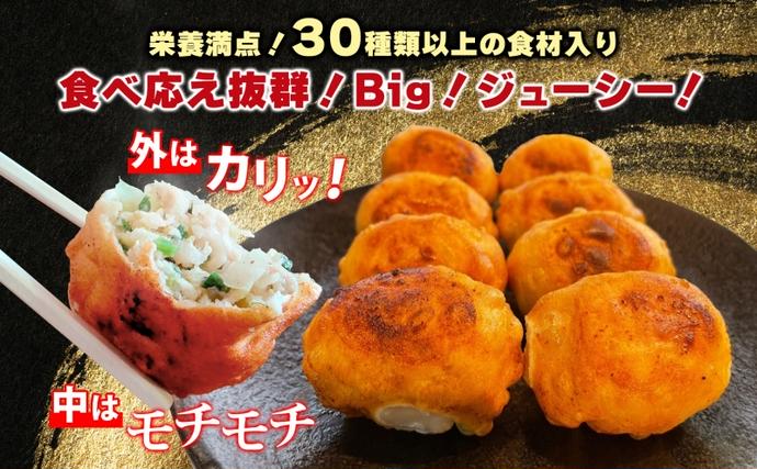 埼玉県日高市のふるさと納税 餃子のはながさ ホワイト餃子 16個×2パック お試し 冷凍 中華 点心 B級グルメ ご当地 野菜 おつまみ おかず 簡単調理 時短 豚肉 ポーク 大きめ ジューシー ギフト お取り寄せ 日高市