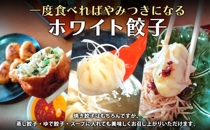埼玉県日高市のふるさと納税 餃子のはながさ ホワイト餃子 16個×2パック お試し 冷凍 中華 点心 B級グルメ ご当地 野菜 おつまみ おかず 簡単調理 時短 豚肉 ポーク 大きめ ジューシー ギフト お取り寄せ 日高市