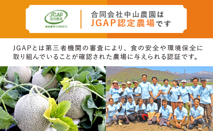 北海道富良野市のふるさと納税 テレビで紹介されました！【2026年夏発送】北海道 富良野産 赤肉メロン 2玉 計3.2kg以上 大玉サイズ メロン