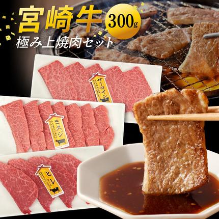 宮崎牛極み上焼肉セット 合計 300gN0140-
