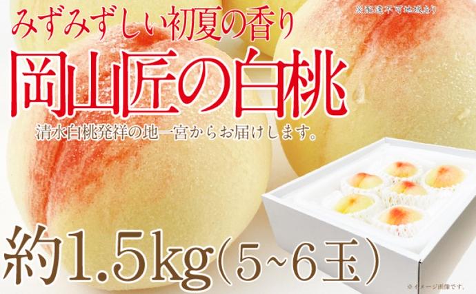 もも 2026年 先行予約 岡山匠の白桃 約1.5kg 5～6玉 犬塚農園 岡山県産