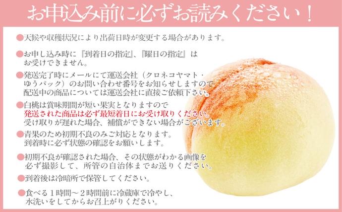 もも 2026年 先行予約 岡山匠の白桃 約1.5kg 5～6玉 犬塚農園 岡山県産