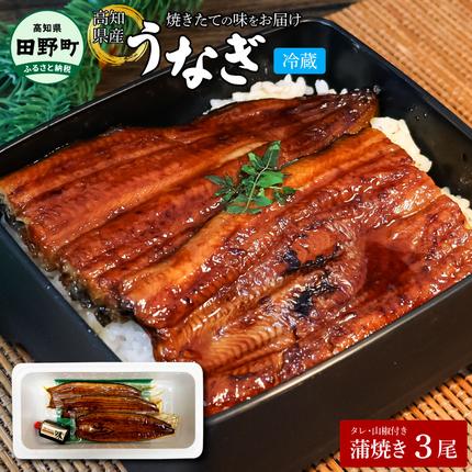 高知県田野町のふるさと納税 ～四国一小さなまち～ ヤマシン特選うなぎの蒲焼き３尾（特製タレ付き） うなぎ 鰻 ウナギ 国産 高知県産 蒲焼 かばやき 白焼き 特製タレ 冷蔵 配送 真空パック