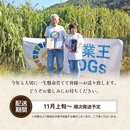 令和7年】高原さんの もち米10kg（クレナイ）精米 白米 餅米 餅 お米