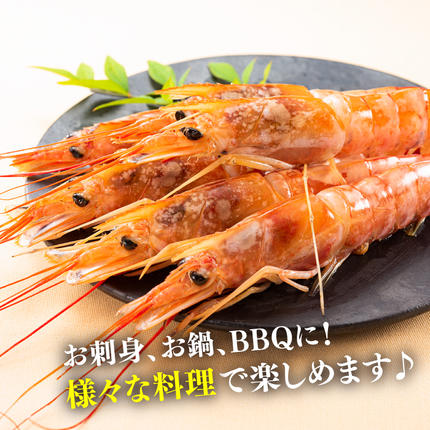 AE098.【お刺身用】有頭赤海老（約2キロ） / 福岡県新宮町 | セゾンの