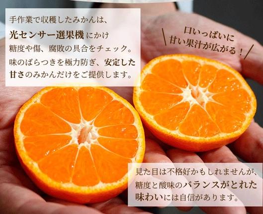 家庭用 完熟 有田みかん2.5kg+250g（傷み補償分）サイズ混合 / 和歌山