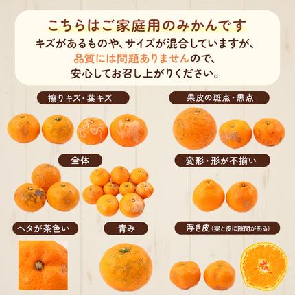 家庭用 完熟 有田みかん2.5kg+250g（傷み補償分）サイズ混合 / 和歌山