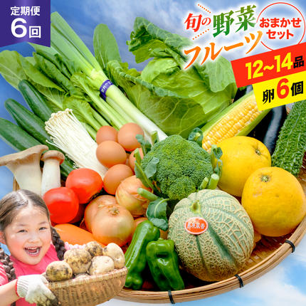 BF058 【6回定期便】旬の野菜・フルー