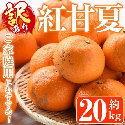 訳あり紅甘夏(約20kg) 国産 鹿児島県