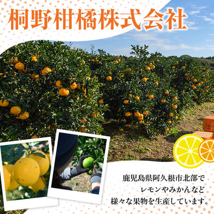 鹿児島県阿久根市のふるさと納税 訳あり紅甘夏(約20kg) 国産 鹿児島県 阿久根市 果実 果物 フルーツ 柑橘 紅甘夏 みかん ミカン 期間限定 数量限定【桐野柑橘株式会社】akn070-09