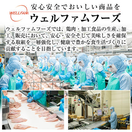 鹿児島県霧島市のふるさと納税 A0-272 森林どり むね肉(2kg×3袋・計6kg)【ウェルファムフーズ】