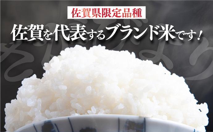 佐賀県大町町のふるさと納税  [令和7年産] 特A評価 さがびより 白米 5kg