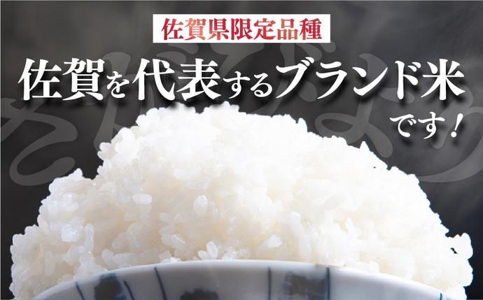 令和7年産] 特A評価 さがびより 無洗米 5kg / 佐賀県大町町 | セゾンの